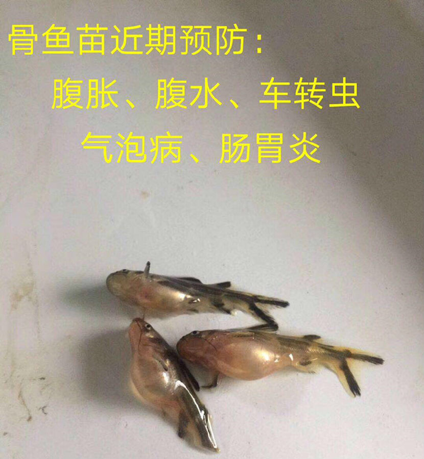2019050601_副本.jpg