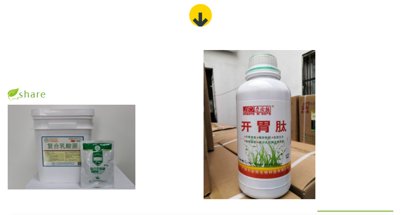 3-漢.png
