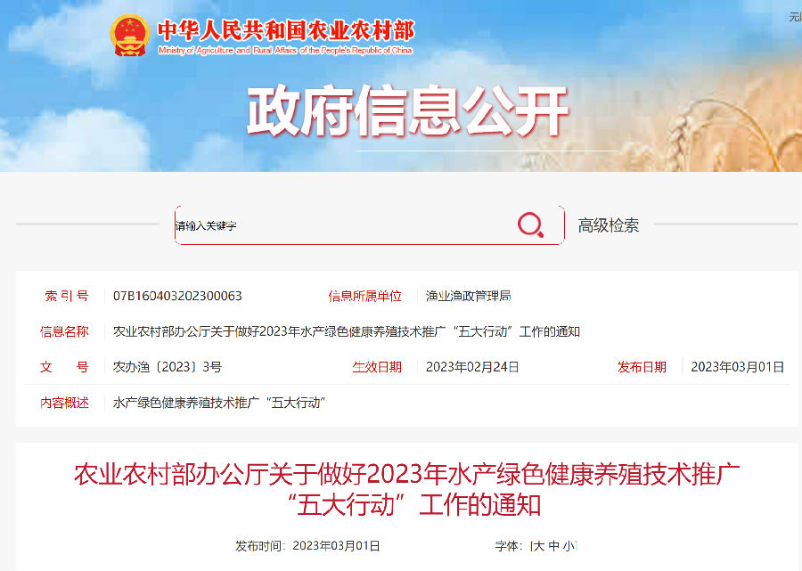 五大行動.png