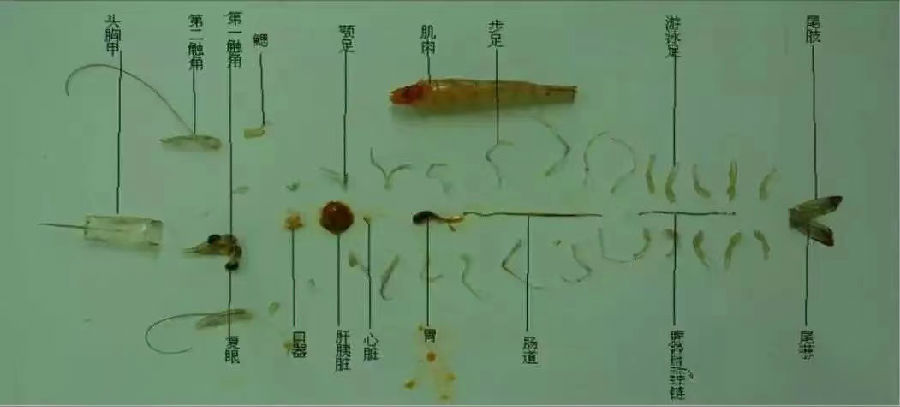 微信圖片_20240104104236.jpg