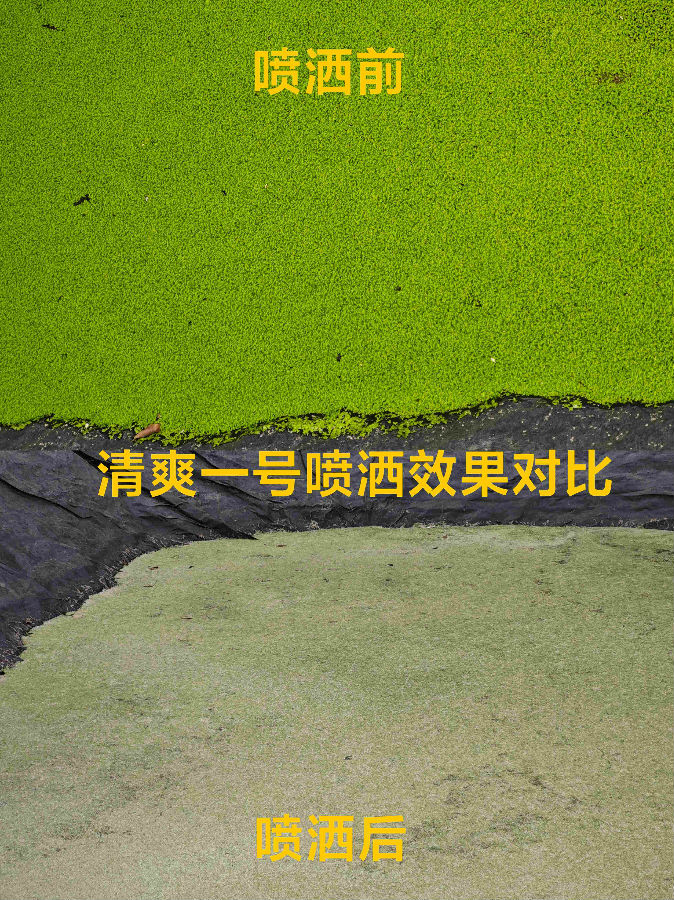 微信圖片_20260410102412_322_12 - 副本(1).jpg