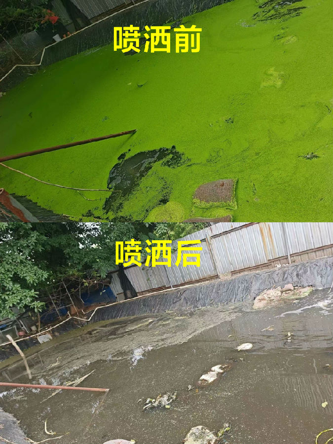 微信圖片_20260514111624_469_12(1).jpg